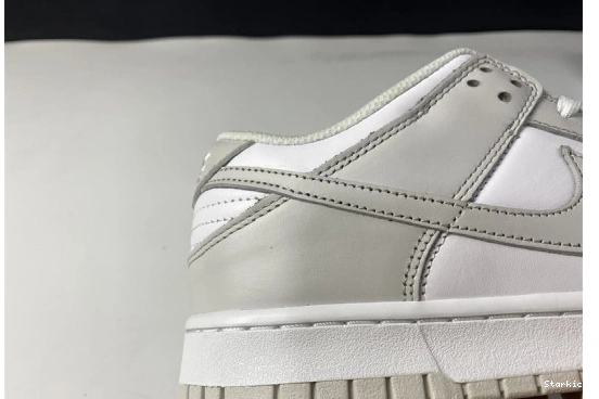 DD1503-103 Dust" Dunk Nike Low "Photon 0113